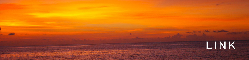 link_01.jpg